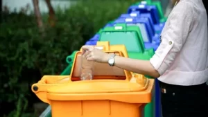 Tu ești inima unui oraș verde! Cum contribuie cetățenii din Sectorul 5 la un mediu curat