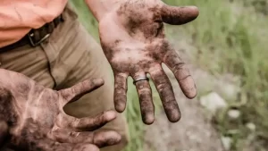 Patru din cinci români consideră că poţi reuşi în viaţă prin muncă, fără pile şi relaţii