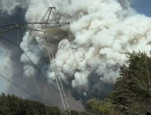 Incendiu la Cernobîl: zona radioactivă este cuprinsă de flăcări, iar minele de război îngreunează intervenția pompierilor. Precizările ANM