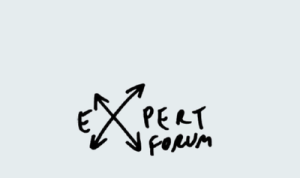 Raport Expert Forum: Finanţarea partidelor politice, dominată de subvenţii. E nevoie urgentă de reformă