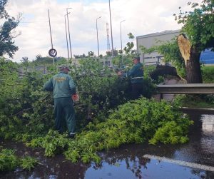 Cristian Daniel Stan-Primarul Municipiului Târgoviște: Problemele ferate de furtună în această după-amiază