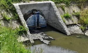 Catastrofă ecologică în Bihor: O companie controlată de primari UDMR deversează dejecții direct în râurile Ier și Barcău!