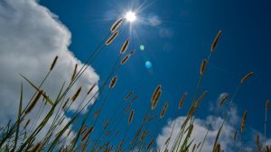 ANM a emis prognoza meteo pe o lună. Cum va fi vremea până la începutul lui august