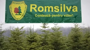 Romsilva, după scandalul achizițiilor: 96% din contracte au fost atribuite prin competiție, doar 4% fără anunț